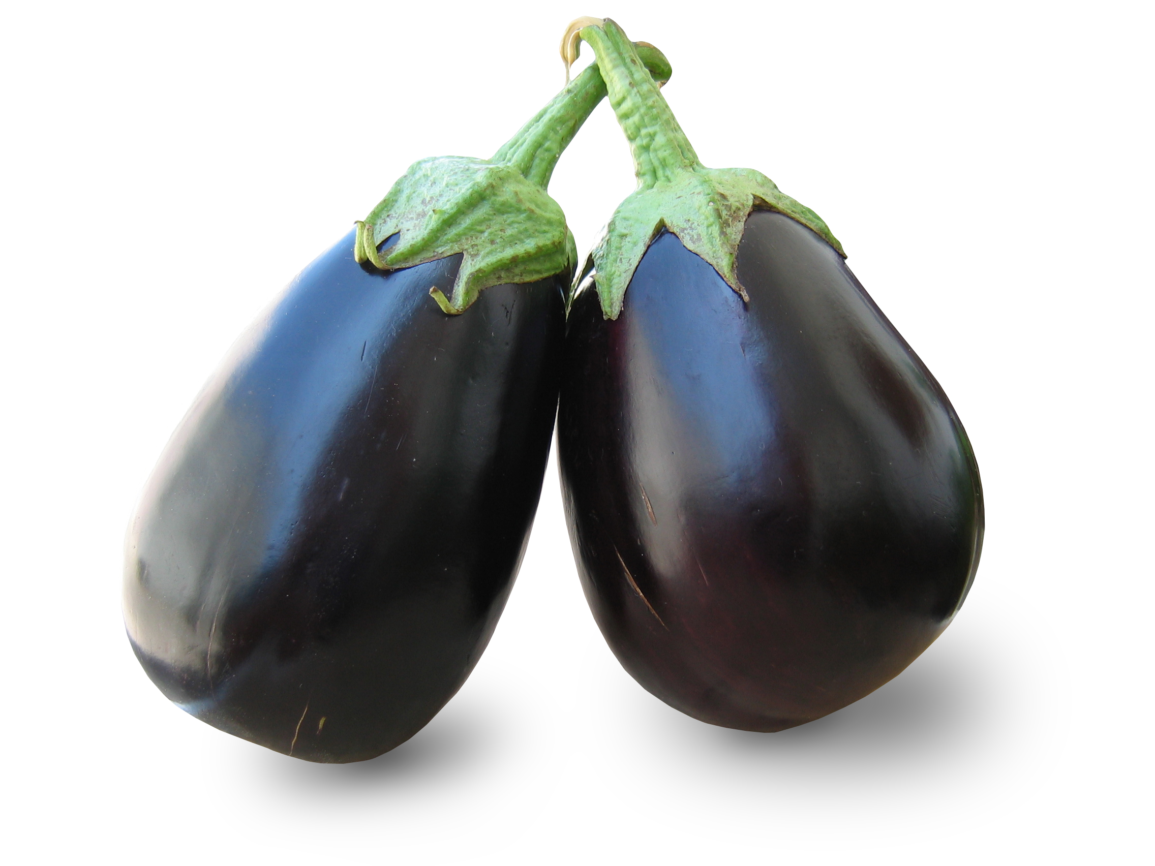 eggplant-mysahana